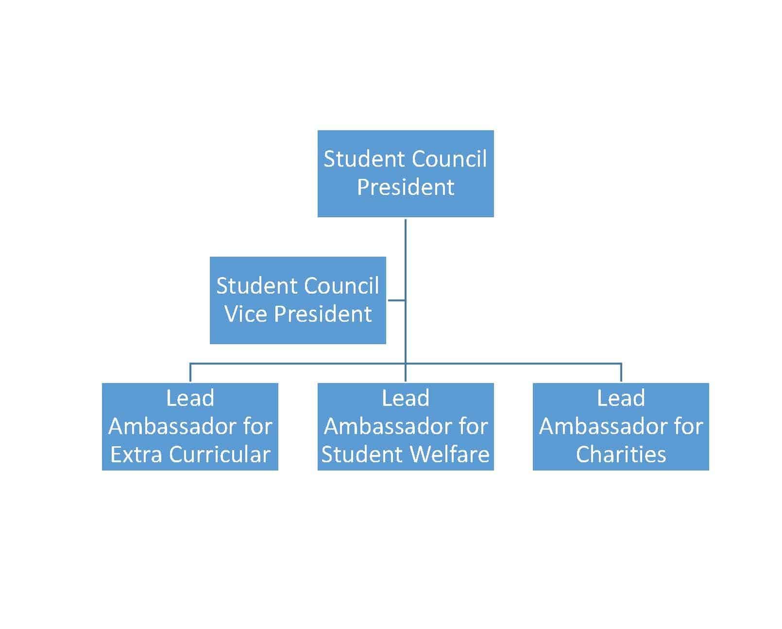 Junior Leadership Team - Sale High School